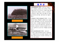 [도시행정론] 마포구도시행정론-15