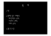 [광고 홍보] 아이스크림브랜드 광고캠페인사례분석.-2