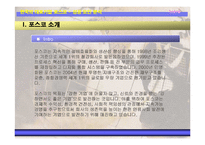 [경영학] 포스코 POSCO(포항제철) 성공 분석-3