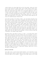 [사회과학] 오토 폰 비스마르크에 관하여-13