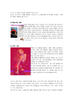 [매스컴론] 육체와 대중문화-12