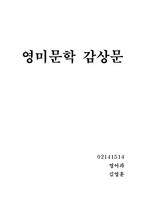 [영미문학] 위대한 개츠비 감상문-1