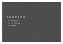 [마케팅] 안철수연구소(Ahn Lap) 기업 분석-11