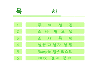 [스포츠 소비자 행동론] G마켓 축구용품 소비자 행동 조사-2