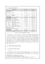 [사회복지] 저소득 부자가정 문제와 가족복지측면에서의 해결방안-9