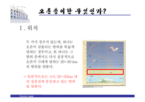 [자연과학 - 오존층] 오존층 파괴의 원인 과정 현황 대책-3