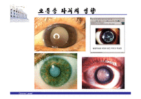 [자연과학 - 오존층] 오존층 파괴의 원인 과정 현황 대책-14