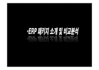 ERP 패키지 레포트-4