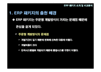 ERP 패키지 레포트-5