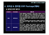 ERP 패키지 레포트-10