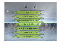 [경영경제] 종합적 품질경영-8