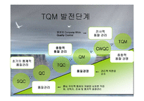 [경영경제] 종합적 품질경영-13