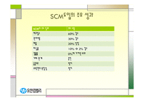 [경영경제] SCM 도입 사례 및 응용 사례-8