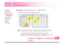 [경영, 마케팅, 브랜드, 마케팅 원론, 경영과학] 애니콜 브랜드의 컴뮤니케이션 전략-5