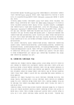 [사회복지] 사회복지와 사회복지사업 분석 및 참여정부의 사회복지 비판-8