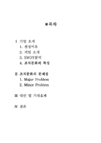 [조직행동론] southeast airlines의 조직문화-2