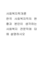 사회복지학개론 ) 한국 사회복지직의 현황과 본인이 생각하는 사회복지 전문직에 대해 설명하시오-1