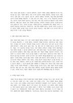 사찰의 다양한 유형과 그 배치 형태에 대한 심층 분석-3