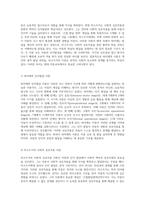 아동의 인지발달 이론 비교 피아제와 비고츠키의 관점을 중심으로-2