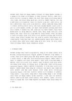 아동의 인지발달을 탐구하는 피아제의 이론적 틀과 그 비판적 분석-2