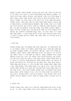 아동의 인지발달을 탐구하는 피아제의 이론적 틀과 그 비판적 분석-4