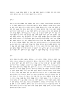 자연의 힘으로 풀어낸 생약의 세계 근류와 근경류의 포괄적 탐구-6