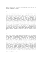 자연의 힘으로 풀어낸 생약의 세계 근류와 근경류의 포괄적 탐구-16