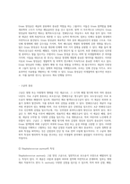 세균의 세계 Gram 염색법을 통한 미생물 분류와 각 세균의 특성 탐구-2