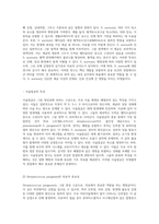 세균의 세계 Gram 염색법을 통한 미생물 분류와 각 세균의 특성 탐구-3