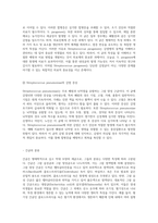 세균의 세계 Gram 염색법을 통한 미생물 분류와 각 세균의 특성 탐구-4