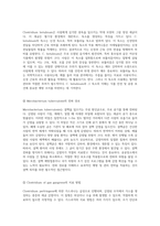 세균의 세계 Gram 염색법을 통한 미생물 분류와 각 세균의 특성 탐구-6