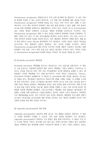 세균의 세계 Gram 염색법을 통한 미생물 분류와 각 세균의 특성 탐구-12