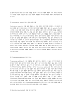 세균의 세계 Gram 염색법을 통한 미생물 분류와 각 세균의 특성 탐구-14