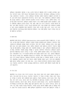 폐결핵(Pulmonary Tuberculosis, Tbc) 사례 분석을 통한 간호진단 및 간호과정 정립에 관한 연구-5