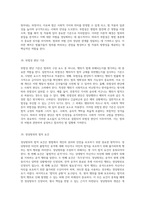 형법 총론의 심층 분석 기본 원칙과 핵심 개념의 정리-10