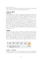 [마케팅] 이마트와 롯데마트의 유통전략 비교 분석-17
