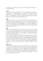 [경영학] 아이리버의 성공 과정에 대한 분석-7