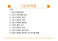 그린 마케팅 레포트-2