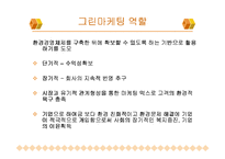 그린 마케팅 레포트-10