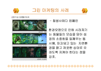 그린 마케팅 레포트-17