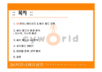 [마케팅관리론] SK 커뮤니케이션즈의 싸이월드 마케팅전략-3