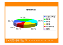 [마케팅관리론] SK 커뮤니케이션즈의 싸이월드 마케팅전략-10