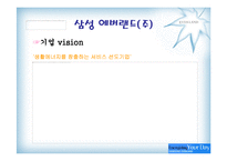 [마케팅] 에버랜드 마케팅 분석-4