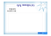 [마케팅] 에버랜드 마케팅 분석-7
