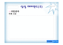 [마케팅] 에버랜드 마케팅 분석-8