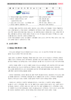 [마케팅레포트] 웅진 룰루의 마케팅 전략-9