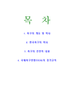[스포츠] 프로축구 전반적 내용-2