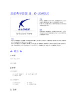 [스포츠 경영학] 프로축구연맹 & K-LEAGUE 마케팅-1