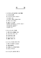 [스포츠마케팅] 마케팅 관점에서의 K-리그 활성화 방안-2