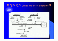 [품질관리] 품질개선 기본도구 ppt-19